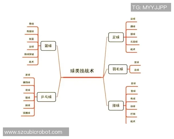 上海排球队的战术控制解析与球队发展现状探讨 上海排球队的战术控制解析与球队发展现状探讨
