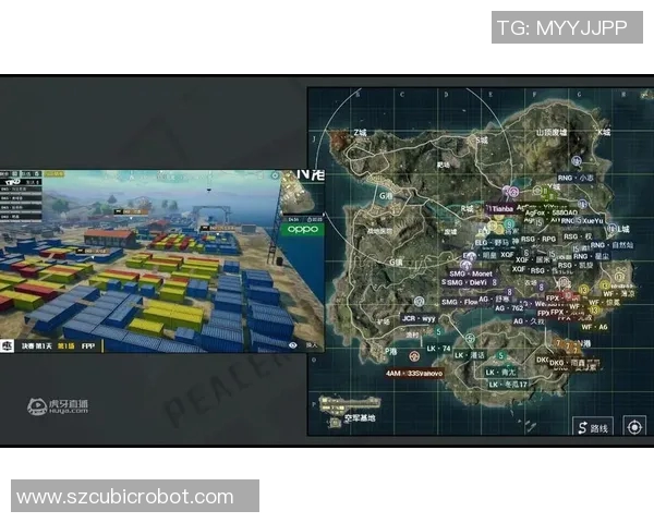 和平精英评论：RNG战队运营策略分析与成败得失总结