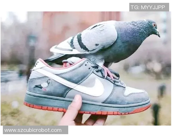 广州滑板队意识对比独家深度分析与发展趋势探讨