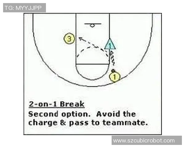 成都排球队快攻战术解析与实战应用探讨
