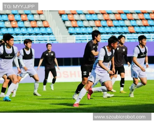 杭州足球队反击战术分析及其在比赛中的得失表现探讨 杭州足球队反击战术分析及其在比赛中的得失表现探讨