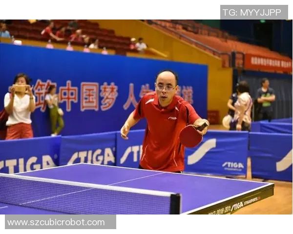 杭州乒乓球队崛起之路联合会杯背后的奋斗与荣耀 杭州乒乓球队崛起之路联合会杯背后的奋斗与荣耀