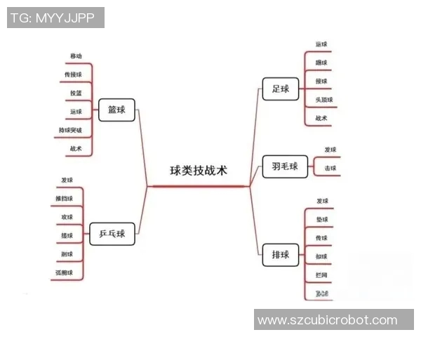 上海篮球队迎来速度革命全新战术体系引发热议与期待