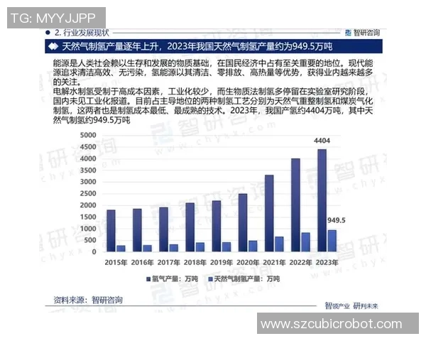 专业分析：液化天然气市场的攻防策略与未来发展趋势