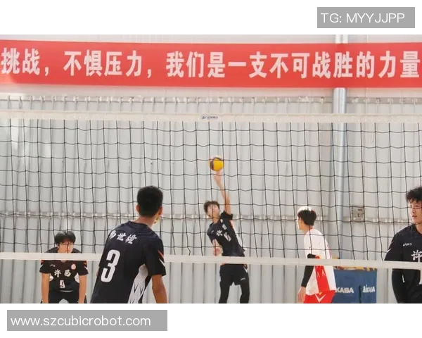 排球盛宴：深入解析深圳排球队员的独特技能与战术配合
