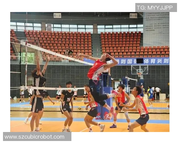 重庆排球队实力对比深度解析与未来发展展望