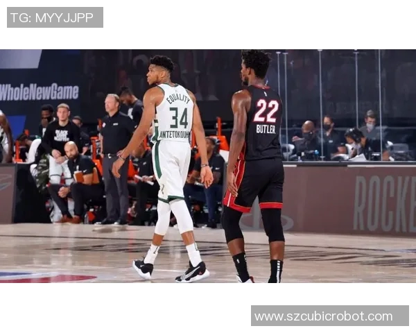 水户数葵力争主场胜利迎战福冈黄蜂全力争夺宝贵积分