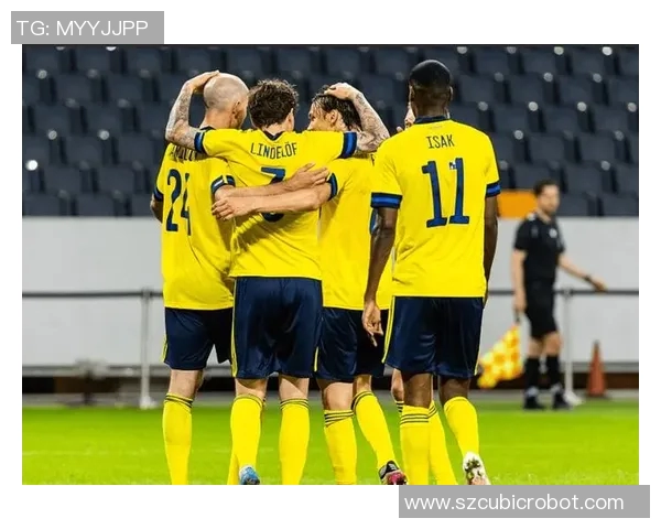 瑞典与芬兰友谊赛精彩对决展现北欧足球魅力与团结精神