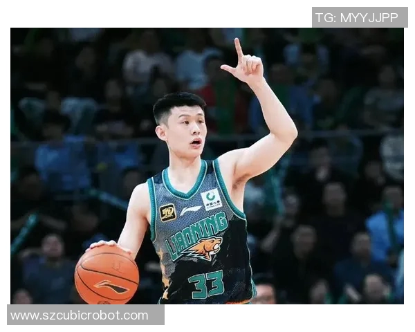 辽宁与北控全场数据分析揭示比赛关键因素与战术对决