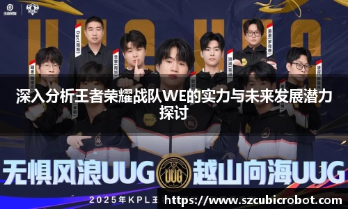 深入分析王者荣耀战队WE的实力与未来发展潜力探讨
