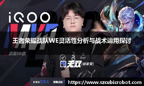 王者荣耀战队WE灵活性分析与战术运用探讨
