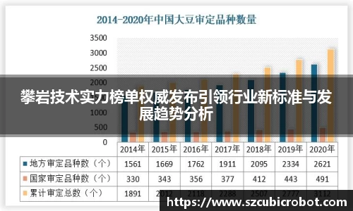 攀岩技术实力榜单权威发布引领行业新标准与发展趋势分析